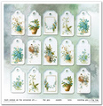 Zestaw papierów do scrapbookingu 30x30 - Itd Collection - Flower Post - Forget me not