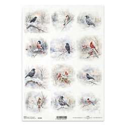 Papier ryżowy do decoupage A4 - ptaki, kruki, wrony, kardynał, gil - R2490 - Itd Collection