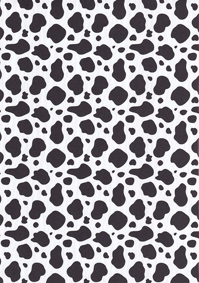 Blok z motywami Animals A4