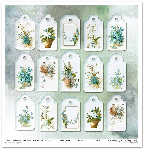 Zestaw papierów do scrapbookingu 30x30 - Itd Collection - Flower Post - Forget me not