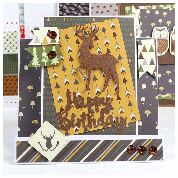 Zestaw papierów do scrapbookingu 30x30 - Simply Creative - Go Wild