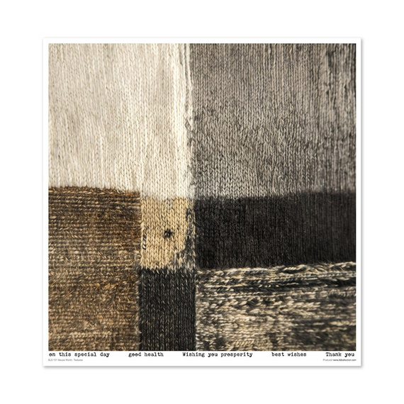 Zestaw papierów do scrapbookingu 30x30 - Mouse World - Textures - Itd Collection