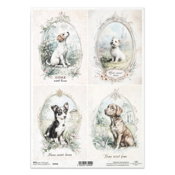 Papier ryżowy do decoupage A4 - psy - R2566 - Itd Collection