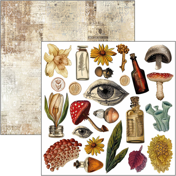 Zestaw papierów 15x15cm - Ciao Bella - Cabinet of curiosities