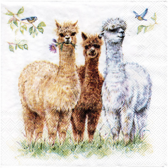 Serwetka do decoupage 33x33cm - Alpaca friends alpaki