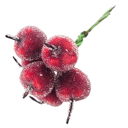 Jabłka oszronione - dekoracja świąteczna - 6 szt. owoców na 1 gałązce