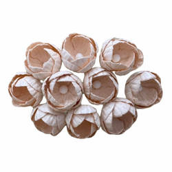 Jaskry - blado brzoskwiniowe 15mm - 50 szt