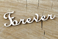 Tekturka Forever 2x napis - Scrapiniec