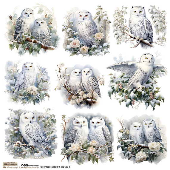 Naklejki papierowe - ScrapLove - Winter Snowy Owl 1 sowy