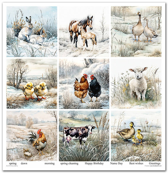 Zestaw papierów do scrapbookingu 30x30 - Itd Collection - Early Spring