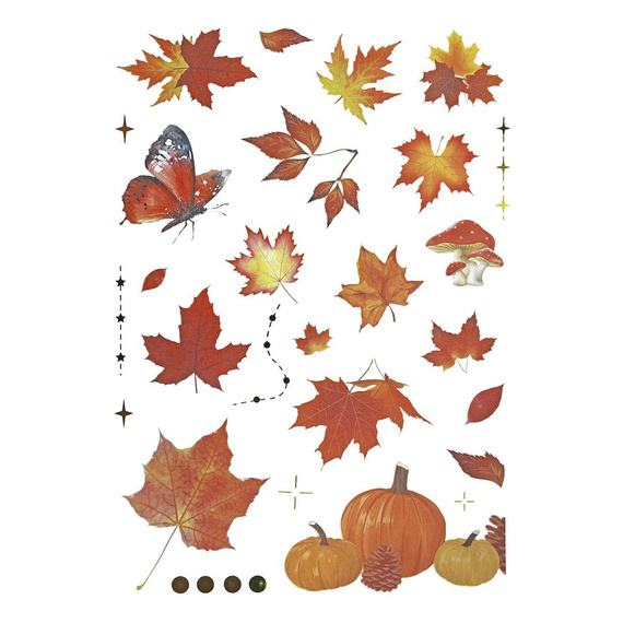 Naklejki foliowe - Liście, grzyby, wiewiórki