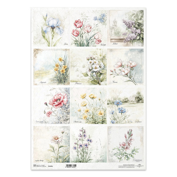 Papier ryżowy do decoupage A3 ITD R1443L kwiaty, mak, jaskier, chaber, Irys, tulipan, bez, lilak, narcyz, prymulka, frezja