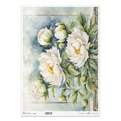 Papier ryżowy do decoupage A3 ITD-1299L białe piwonie
