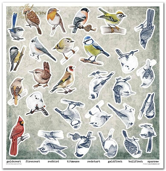 Zestaw papierów do scrapbookingu 30x30 - Decorated with frost