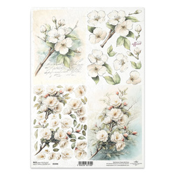 Papier ryżowy do decoupage A4 - białe kwiaty - R2590 - Itd Collection