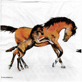 Serwetka do decoupage 33x33cm - Wild horses konie