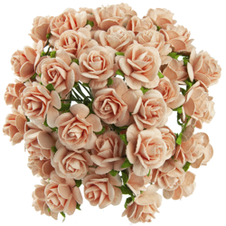 Różyczki otwarte - brzoskwiniowe 25 mm - 50  szt.