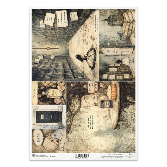 Papier ryżowy do decoupage A4 - Alicja, klucz, klatka, trucizna, napisy, książki - R2658 - Itd Collection