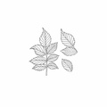 Stempel polimerowy - Liście zestaw 3 - Agateria