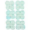 Hortensje - aqua 35mm - 100szt
