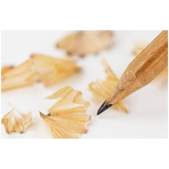 Ołówek grafitowy Phoenix - Picasso HB