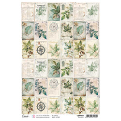 Papier ryżowy do decoupage A4 - Ciao Bella - Cabinet of Botanical liście