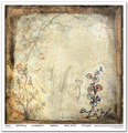 Zestaw papierów do scrapbookingu 30x30 - Itd Collection - Herbarium 2