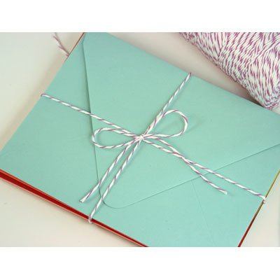 Sznurek Plum Divine Twine - 1m - Whisker Graphics - biało-śliwkowy