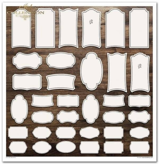 Zestaw papierów do scrapbookingu 30x30 - Herbarium zielnik