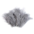 Piórka  strusie szare 9-16cm