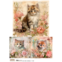 Papier ryżowy A4 - Scraplove - Cat Junk Journal 1 kotki w kwiatach