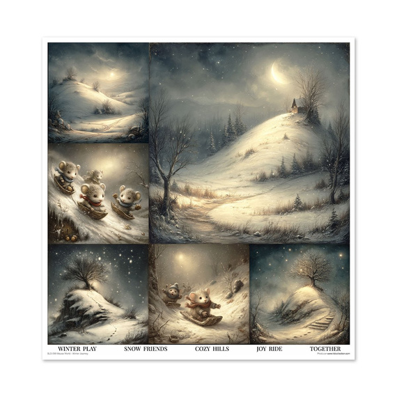 Zestaw papierów do scrapbookingu 30x30 - Mouse World - Winter Journey - Itd Collection