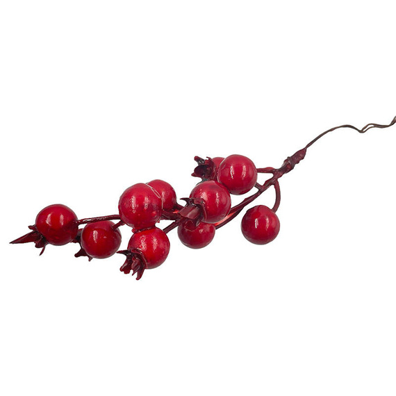 Głóg czerwony - 1 gałązka