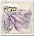 Zestaw papierów do scrapbookingu 30x30 - Itd Collection - Provence scented with lavender