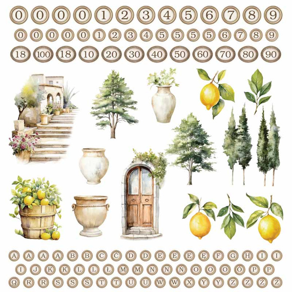 Zestaw papierów do scrapbookingu 30x30 - ScrapAndMe - Sunny Blooms