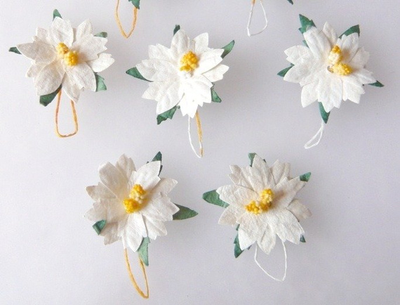 Poinsencje białe 25mm - 5szt