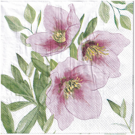 Serwetka 33x33cm -  Classic Helleborus ciemierniki