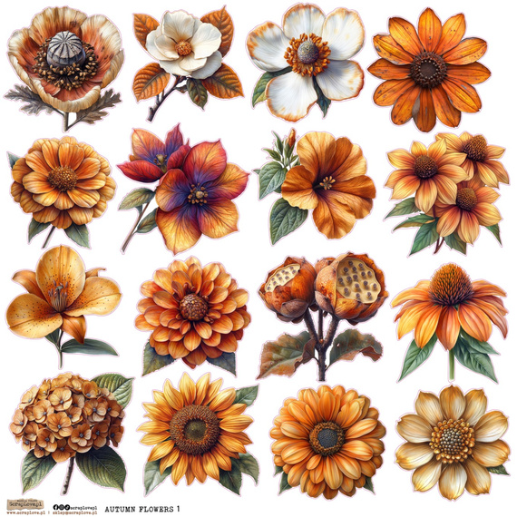 Naklejki papierowe - ScrapLove - Autumn Flowers 1 - Jesienne kwiaty 1