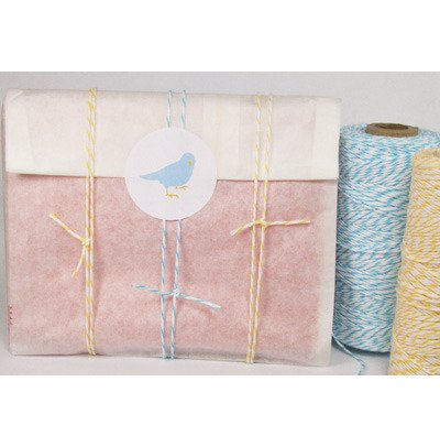 Sznurek Aqua Divine Twine - 1m - Whisker Graphics - biało-turkusowy