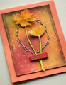 Wykrojnik - Memory Box - Splendid Poppy Stems maki