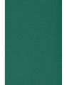 Papier A4 Burano English Green 250g B71 - 20ark
