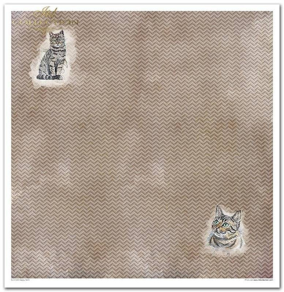 Zestaw papierów do scrapbookingu 30x30 - Happy farm