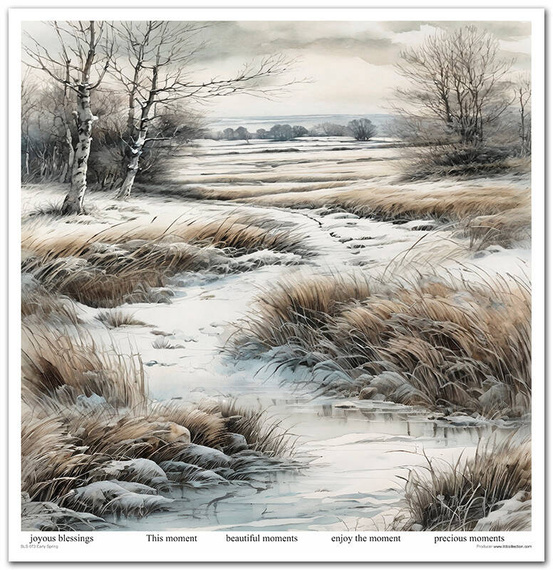 Zestaw papierów do scrapbookingu 30x30 - Itd Collection - Early Spring