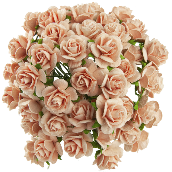 Różyczki otwarte - brzoskwiniowe 25 mm - 50 szt.