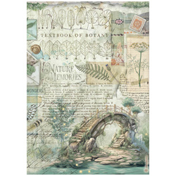 Papier ryżowy do decoupage A4 - Herbarium Silvae mostek - Stamperia