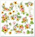 Zestaw papierów do scrapbookingu 30x30 - Itd Collection - Tropical Dreams
