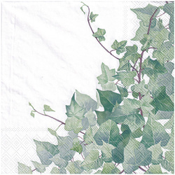 Serwetka 33x33cm - Hedera white bluszcz