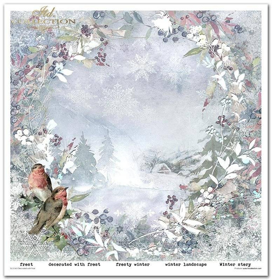 Zestaw papierów do scrapbookingu 30x30 - Decorated with frost