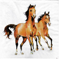 Serwetka do decoupage 33x33cm - Wild horses konie