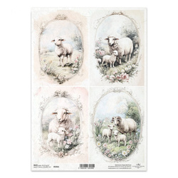 Papier ryżowy do decoupage A4 - owce owieczki w ramkach - R2561 - Itd Collection